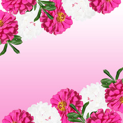 Fototapeta premium Beautiful floral background of pions and tsiny 