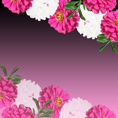 Beautiful floral background of pions and tsiny 