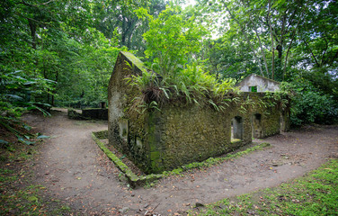 Martinique Island. Ruines of a sugar - rhum factory near Anse Couleuvre, Martinique, Caribbeans.