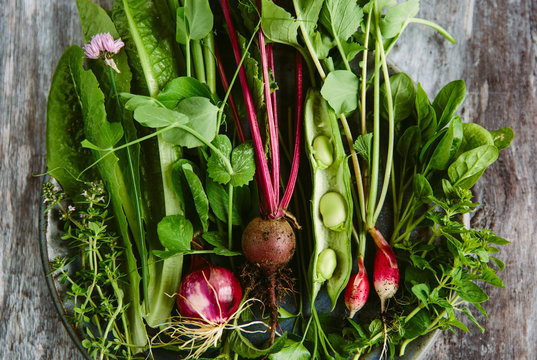 Early summer pickings from the vegetable garden.