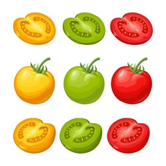 Set of hand drawn tomatoes. Branch, whole and slice.