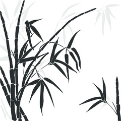 Vector silhouette of bamboo. Silhouette bamboo gray colors isolated on white.