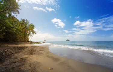 Obraz premium Travel Caribbean: Black sand beach on Anse Couleuvre, Martinique, Caribbean