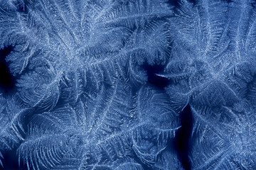 Frost patterns on window glass