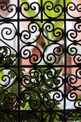 Fototapeta na wymiar Decorated Iron Fence Pattern