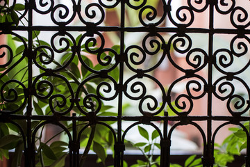 Fototapeta na wymiar Iron Patterned Fence with Plant Behind