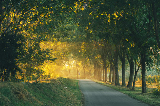 Lonely Road During Breaking Sunrise Light