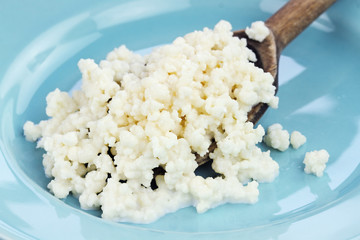 Fresh Kefir grains. Kefir is one of the top health foods available providing powerful probiotics. It is cultures of yeast and bacteria use to make a fermented milk product.