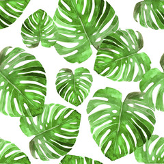 Fototapety  Tropikalny zielony wzór liści palmowych zestaw akwarela ilustrowany