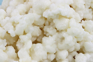Macro of Kefir grains. Kefir is one of the top health foods available providing powerful probiotics. It is cultures of yeast and bacteria use to make a fermented milk product.