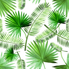 Tropical green palm leaf pattern set watercolor illustrated