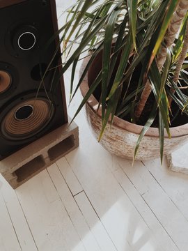 A speaker and houseplant on a white floor
