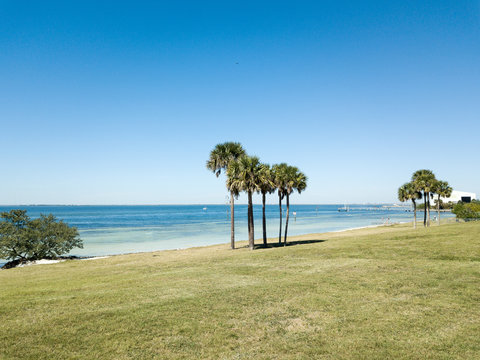 Nature Park with Palm Trees and Ocean in the Background