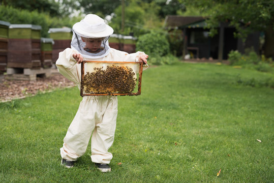 Little apiarist holds honeycomb
