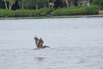 Headed home after a day at the 