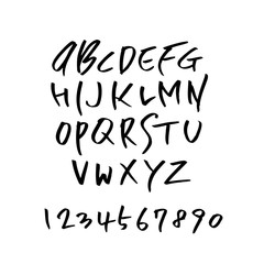 벡터 문자 / 손으로 쓴 글씨체