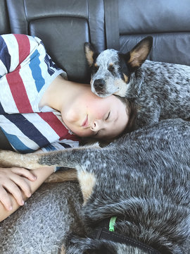 A young boy / tween asleep in back of the car with his pet puppy and dog.
