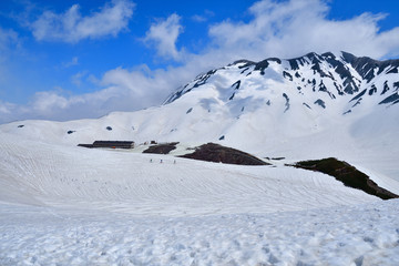 Fototapeta na wymiar 立山で山スキー