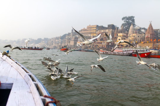 Migratory birds flying over River Ganga in Varanasi City,India