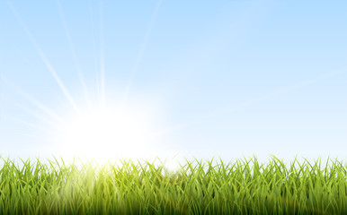 Fototapeta na wymiar Sunny natural background with vector sun and grass.
