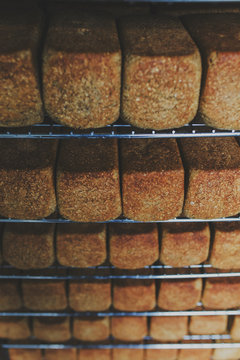 Freshly baked loaves of  sprouted organic bread on a cooling rack.