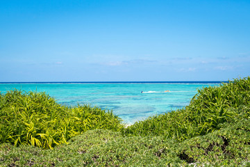 Fototapeta na wymiar Tropische Insel der Kerama Inselgruppe auf Okinawa, Japan