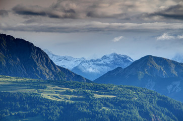 Pine forests and meadows on Gailtaler Alpen Lienzer Dolomiten slopes in morning sunlight with snowcapped peaks of Schober group Hohe Tauern above Untertilliach Lesachtal valley Osttirol Austria Europe