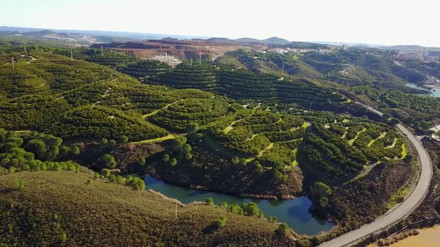 Aerial view of orange tree groves on hills