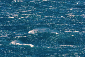 Wave with water spray during storm