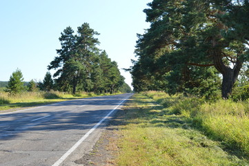 Traveling along a motorway without a car.