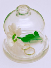 Symbol - Flower and two wedding rings under a glass cap.