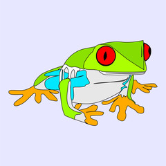 poison frog
