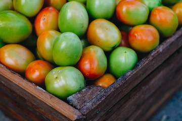 Box of freshly harvested organic ripe and green tomatoes. Selective focus.