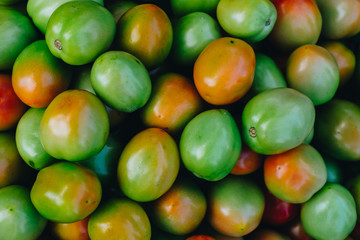 Freshly harvested organic ripe and green tomatoes. Selective focus. Fille frame.