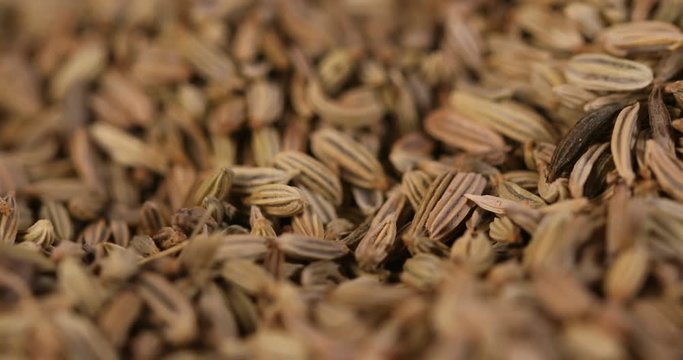 close up a fennel seed herb texture background , 4k Dci resolution