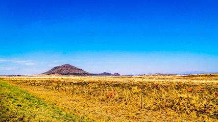Endless wide open landscape of the semi desert Karoo Region in Free State and Eastern Cape provinces in South Africa under blue sky