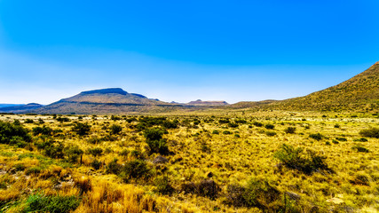 Endless wide open landscape of the semi desert Karoo Region in Free State and Eastern Cape provinces in South Africa under blue sky