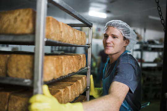 A baker carting a freshly baked rack of spouted bread