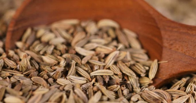 close up a fennel seed herb texture background , 4k Dci resolution