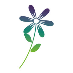 flower stem leaves nature petals decoration vector illustration gradient color design