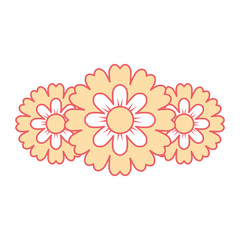 flower petals leaves nature decoration vector illustration