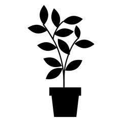 house plant in pot vector illustration design