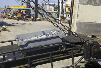 Fresh sea small fish in a container. Fresh seafood