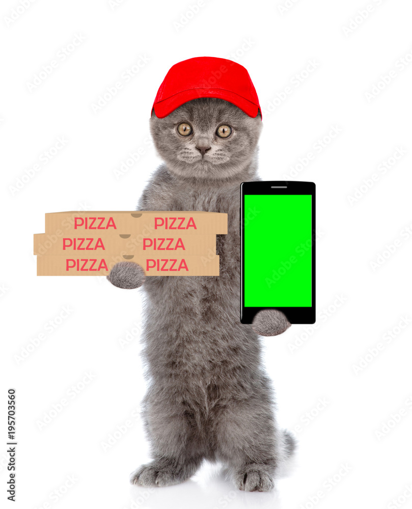 Poster funny pizza delivery cat with pizza boxes and smartphone. isolated on white background