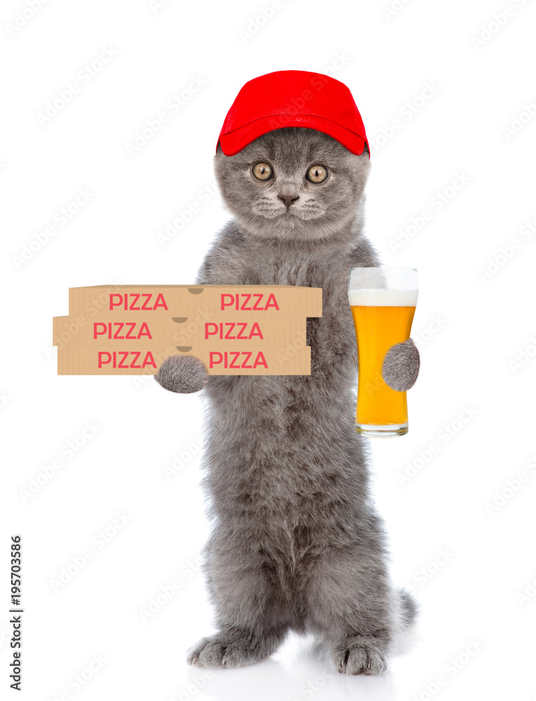 Poster Funny pizza delivery cat in red cap with pizza boxes and beer. isolated on white background