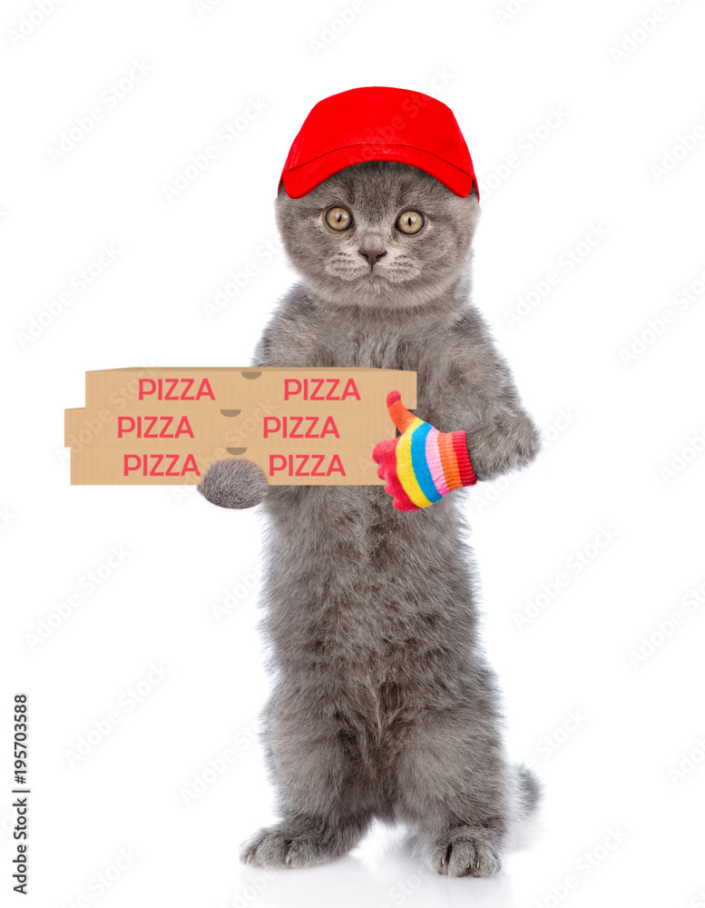 Poster Pizza delivery cat in red cap with pizza boxes showing thumbs up. isolated on white background