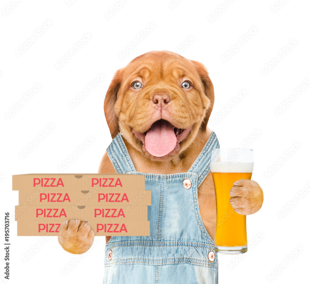 Poster happy pizza delivery puppy with pizza boxes and beer. isolated on white background