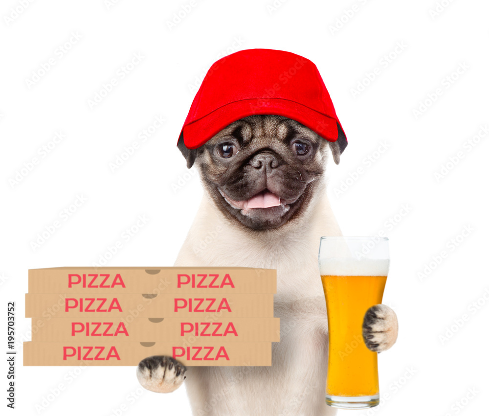 Poster funny pizza delivery dog in red cap with pizza boxes and beer. isolated on white background