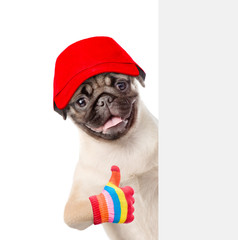 Dog in rad cap showing thumbs up behind white banner. isolated on white background