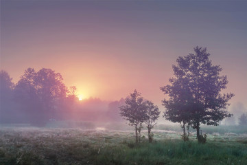 Obraz na płótnie Canvas A landscape of summer sunrise in misty morning with colorful sky on the horizon. Scenic landscape of nature in a meadow. The sun rises behind the trees in the early morning